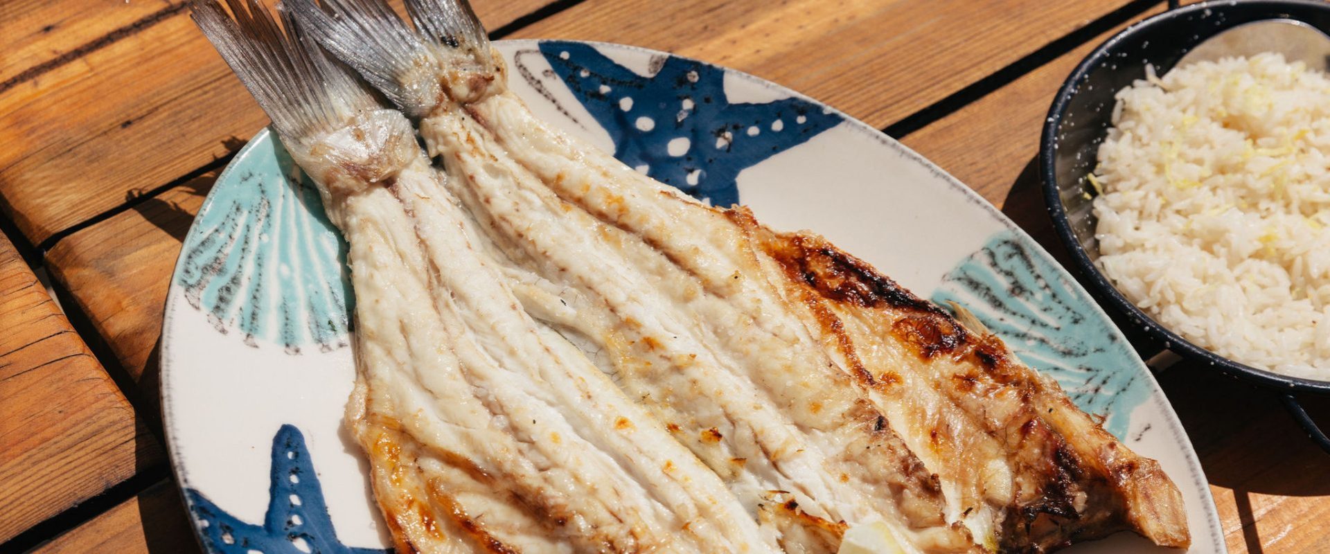 sal-robalo